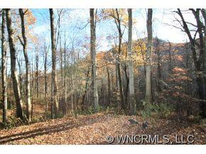 4047 Cove Creek Road - Photo 2