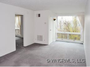 647 Town Mountain Rd. Unit 305 - Photo 2