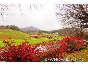 3517 New Leicester Hwy - Photo 3