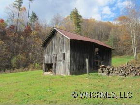 827 Green Creek Rd - Photo 2