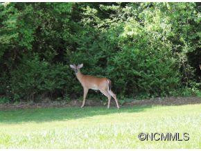 76 Bradford Creek Road - Photo 6