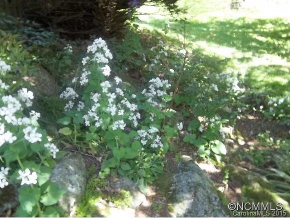 491 Mount Gilead Church Road - Photo 21