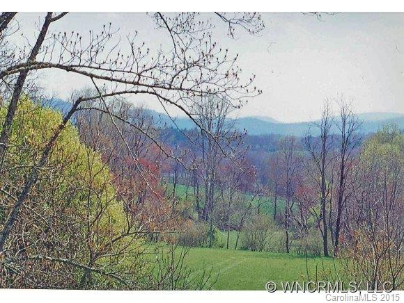 491 Mount Gilead Church Road - Photo 4