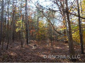 197 Walnut Grove Drive - Photo 19