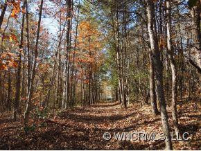 197 Walnut Grove Drive - Photo 3