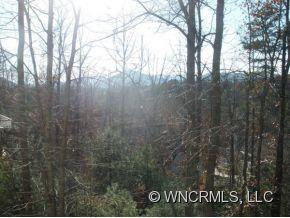 106 Red Cedar Lane - Photo 3