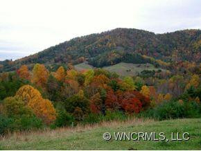 1700 ROBERTS BRANCH RD (+/- 56 Ac) - Photo 17