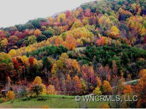 1700 ROBERTS BRANCH RD (+/- 56 Ac) - Photo 20