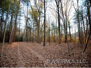 1338 CANE CREEK ROAD - Photo 18
