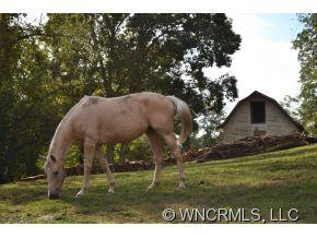 10 Thistledew Lane - Photo 2
