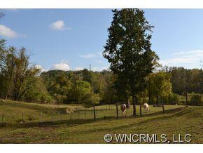 10 Thistledew Lane - Photo 5