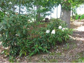 122 Jack Straw Lane - Photo 4