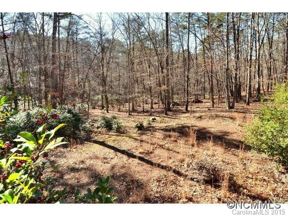 155 Pine Lane - Photo 16