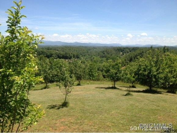 120 Selby Drive Drive - Photo 12