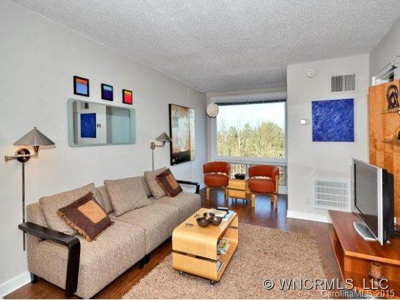 647 TOWN MOUNTAIN RD, #302 - Photo 5