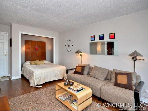 647 TOWN MOUNTAIN RD, #302 - Photo 6
