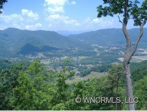 875 Tiger Tail Lane - Photo 3