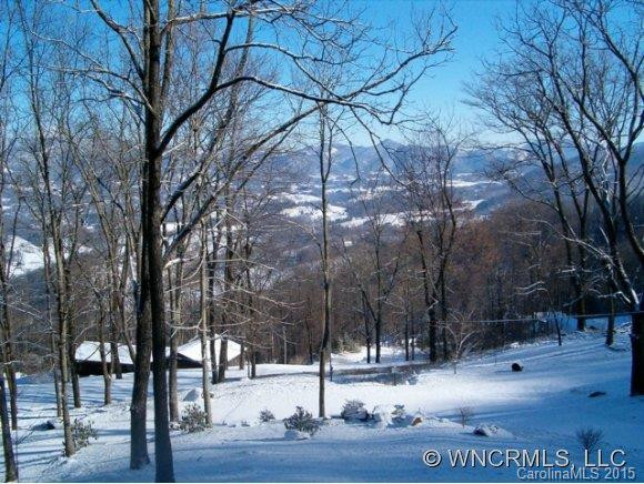 158 Wilderness Trail - Photo 6