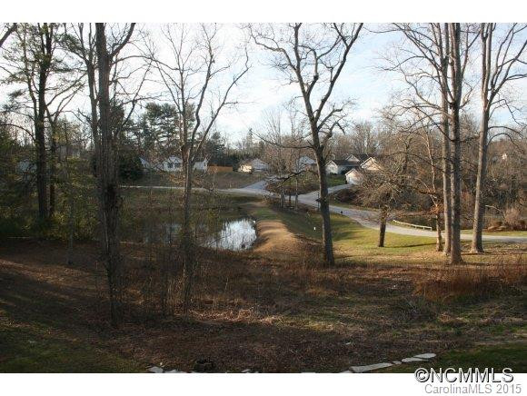 46 Wildwood Forest Lane - Photo 8