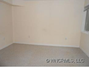 305 Secretariat Ln - Photo 12