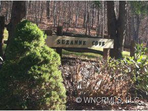 100 Susanna Cove Road - Photo 16