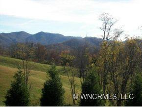 902 CHESTNUT MOUNTAIN ROAD - Photo 4
