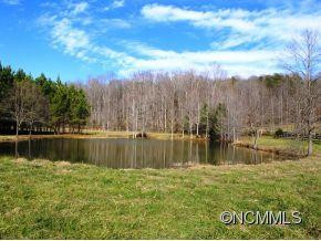 133 Wildeman Lane - Photo 5