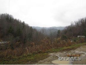 653 Baltimore Branch Road - Photo 2