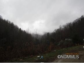 653 Baltimore Branch Road - Photo 3