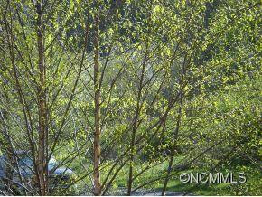 210 TANNER TRAIL - Photo 18