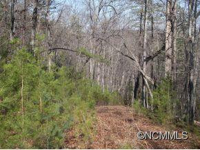 1304 Lake Adger Prkwy + lot 24 - Photo 17