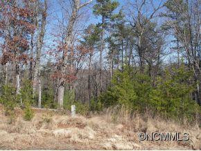1304 Lake Adger Prkwy + lot 24 - Photo 18