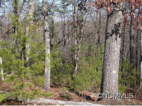 1304 Lake Adger Prkwy + lot 24 - Photo 21