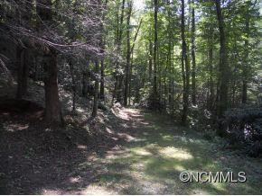 30 Bear Trail - Photo 17