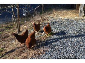3428 Beans Creek Road - Photo 24