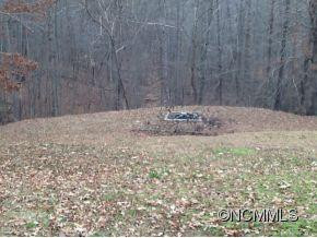 516 Nix Creek Church Road - Photo 3