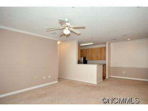 1000 Olde Eastwood Village Blvd103B - Photo 4