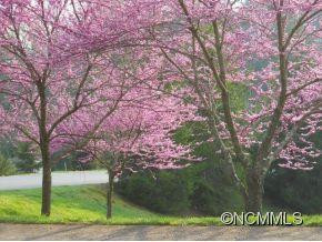 218 Cambridge Drive - Photo 22