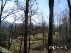 601 Blue Ridge S - Photo 3