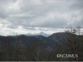 281 Bearwallow Trail - Photo 11