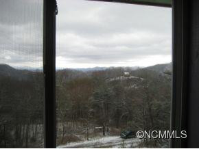281 Bearwallow Trail - Photo 9
