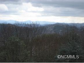 281 Bearwallow Trail - Photo 10