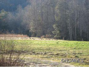 3560 LAKE TAHOMA ROAD (NC-80) - Photo 22