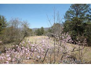 125 B & B Stables Road - Photo 5