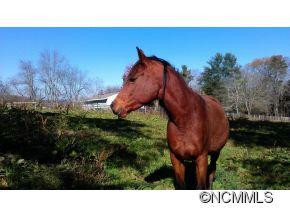 125 B & B Stables Road - Photo 6