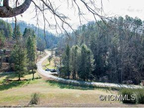 301 LOCUST CREEK RD. - Photo 2