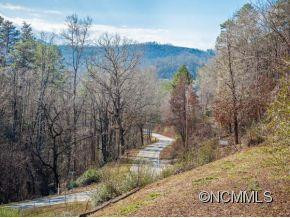 301 LOCUST CREEK RD. - Photo 12