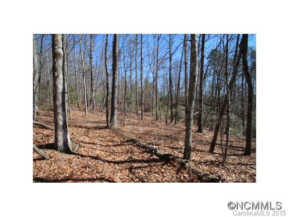 7123 Asheville Highway (HWY 280) - Photo 16