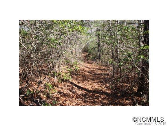 7123 Asheville Highway (HWY 280) - Photo 17