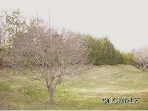 1018 SADDLEBROOK DRIVE - Photo 12